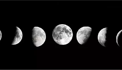 Château de Valcombe – un domaine bio…dynamique !