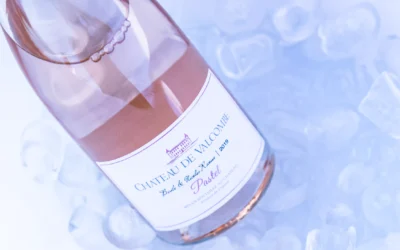 À la découverte des secrets de l’élaboration du Rosé…