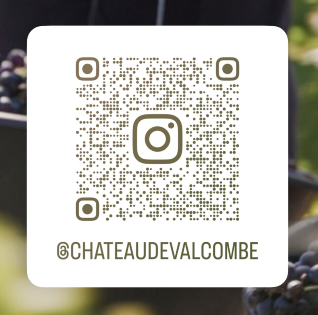 QR code pour accéder au compte Instagram du Château de Valcombe, partager vins, cuvées et actualités